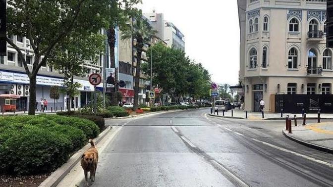 Bi sabah uyandınız ki... Ne yapardınız?