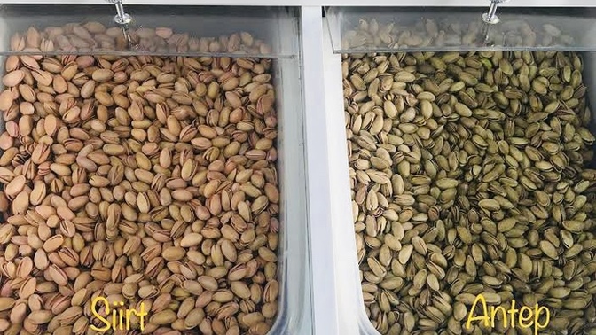 Antep fıstığı mı? Siirt fıstığı mı?