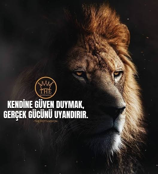 Telefonunuzun duvar kağıdında ne var?
