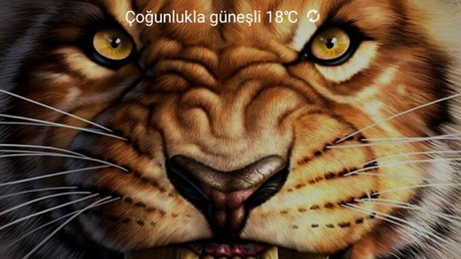 Telefonunuzun duvar kağıdında ne var?