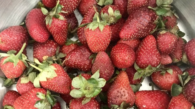 Akşama ne geliyor tahmin edin bakalım?