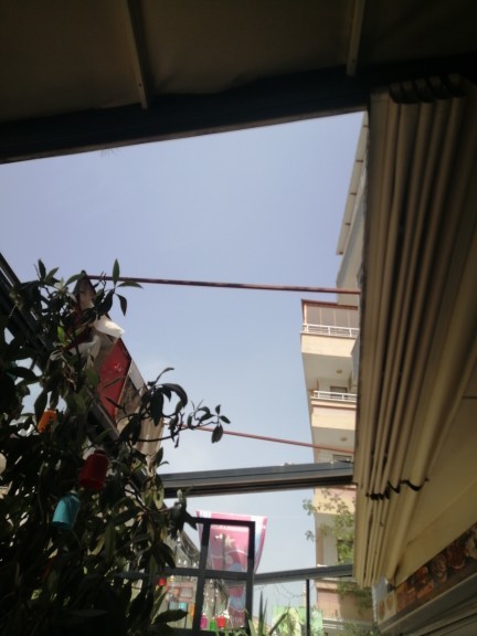 Tavanı günde kaç saat izlersiniz?