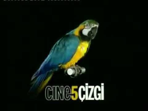 CİNE5 Kapatılmasaydı ve Günümüze kadar Bir İnternet Platformu Haline Gelseydi Türkiyede Netflixden daha fazla satarmıydı ?