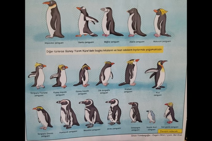 Antartikaya gitmek ister miydiniz?
