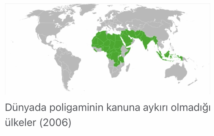Bu ülkelerin ortak yönleri sizce neler?