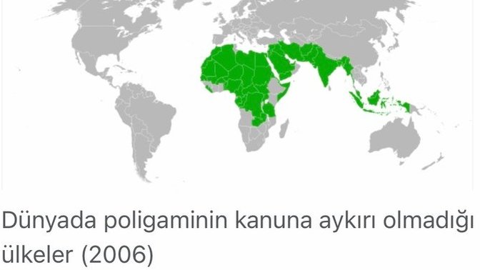 Bu ülkelerin ortak yönleri sizce neler?