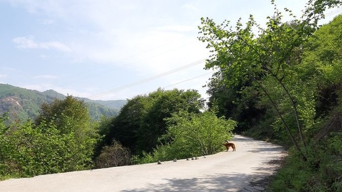 Bahar ayı gelince sizinde aşk hormonlarınız hareketlendi mi?