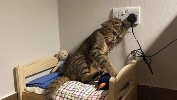 Ekonomi nedeniyle sizi siz yapan hangi alışkanlığınızdan vazgeçmek zorunda kaldınız?