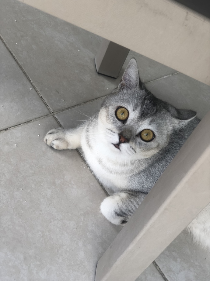 Oğlumun güzelliğine bakın ve keyiflenin