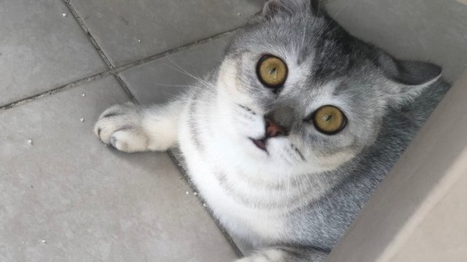 Mutlu musunuzzzzzzz?