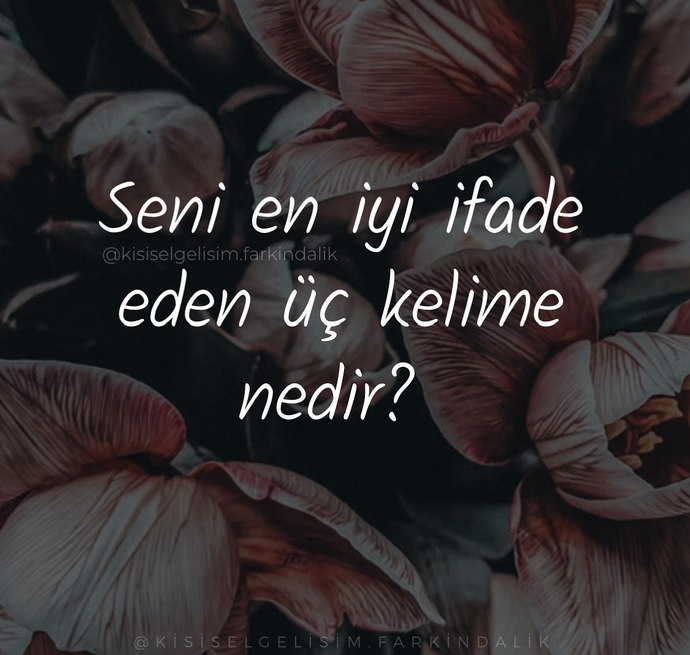 Seni en iyi ifade eden 3 kelime nedir?