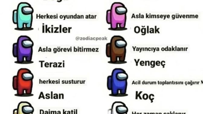 Burçlar hangi Among Us karakteridir?