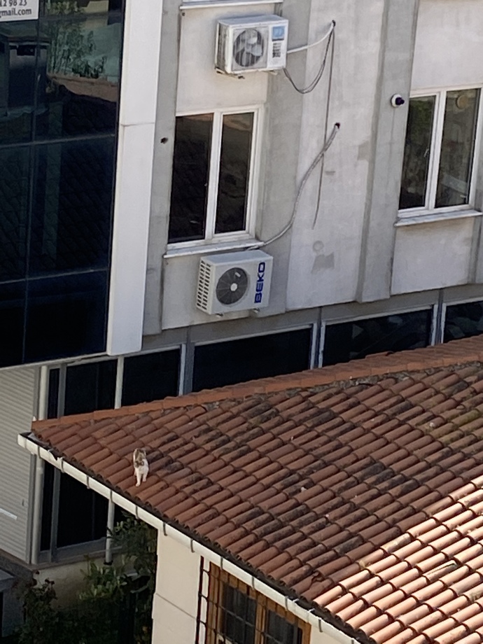 Telefon galerinizdeki en son çektiğiniz fotoğrafı paylaşır mısınız?