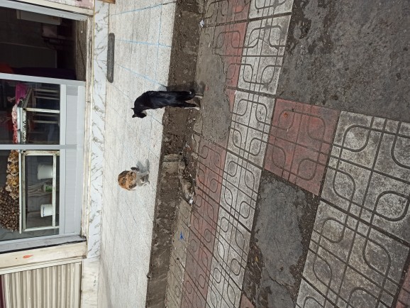 Telefon galerinizdeki en son çektiğiniz fotoğrafı paylaşır mısınız?