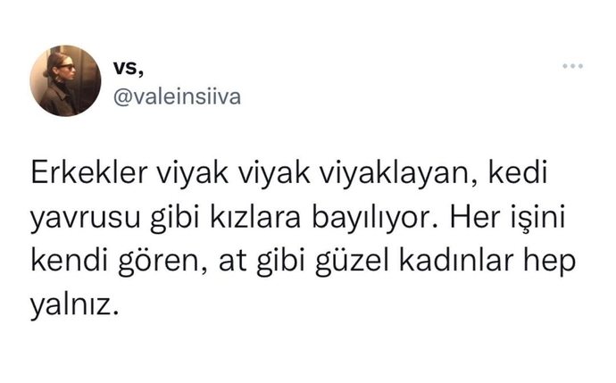 At gibi benzetmesi de biraz garip ama neyse🙄