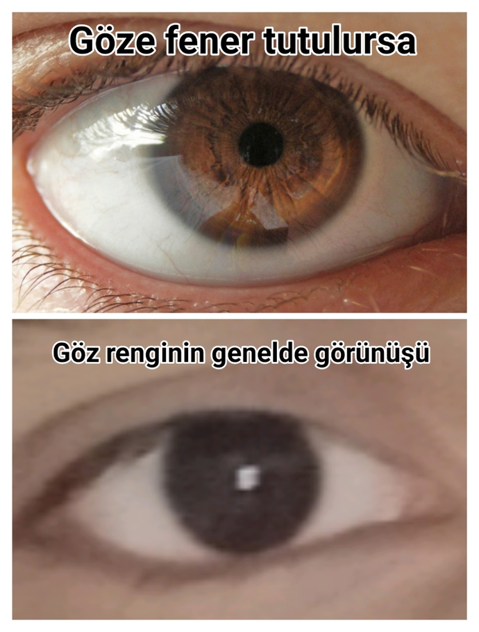 Göz renginizi tahmin edeyim mi?