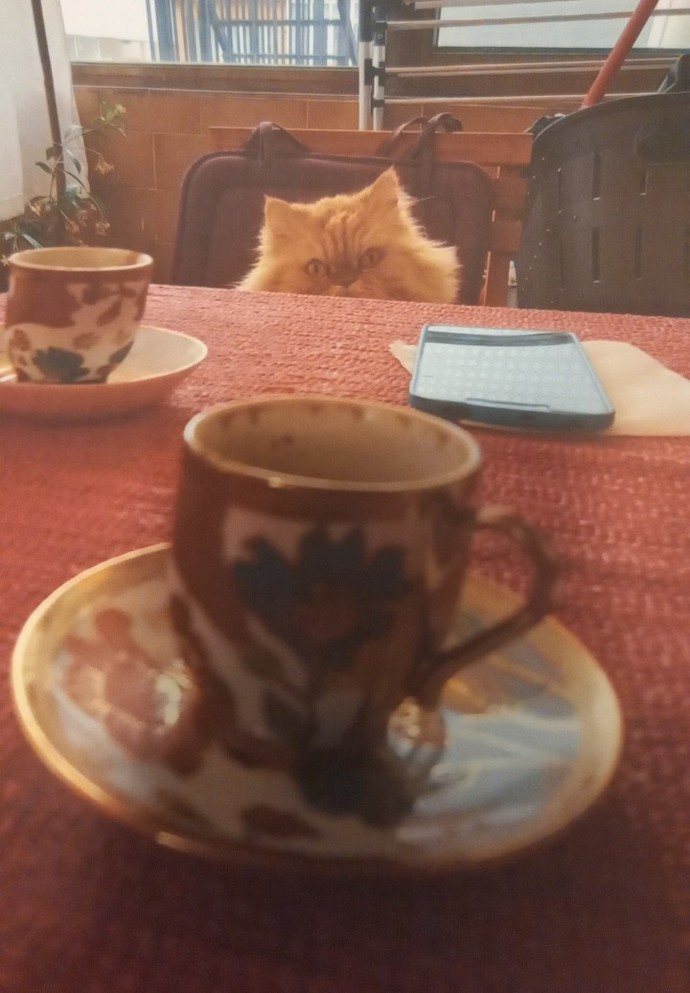 Kahve tüketiminin yağ yakmaya etkisi var mı?