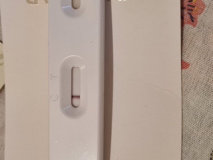 Sizce gebelik var mı şeffaf beyaz bir çizgi görüyorum gibi?