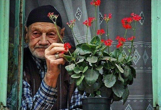 Hangi çiçekleri seversiniz?