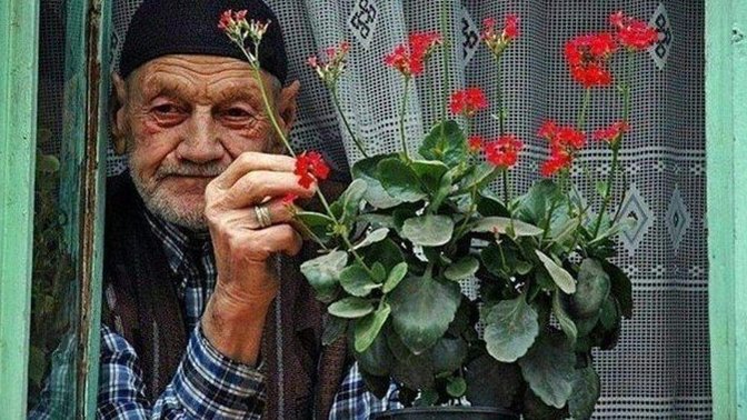 Hangi çiçekleri seversiniz?