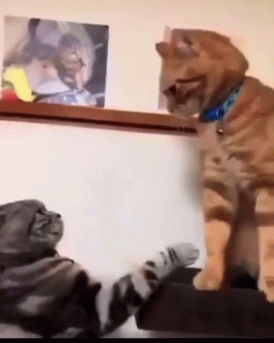 Kolayca olay çıkarabilir misin?