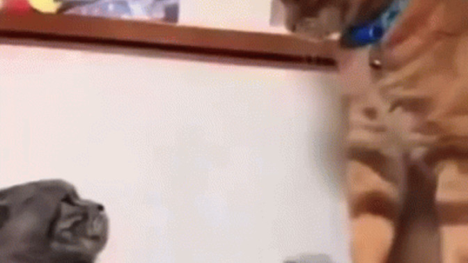 Kolayca olay çıkarabilir misin?