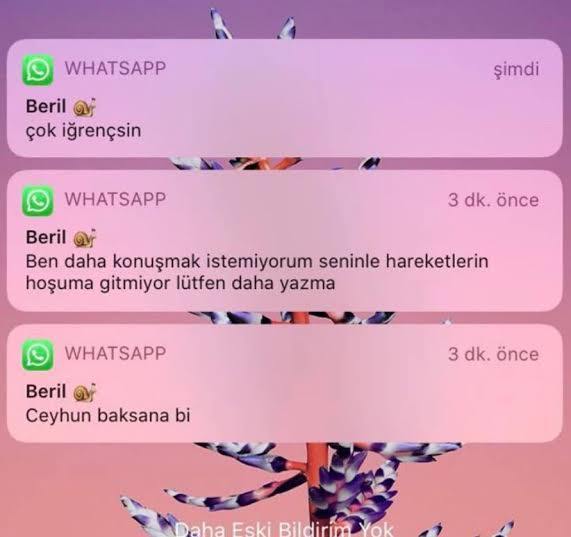 Görselini en iyi ifade eden kısa notunu buraya