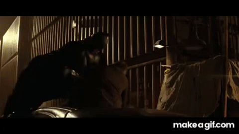 Peki ya siz cahil birini sevebilir miydiniz?