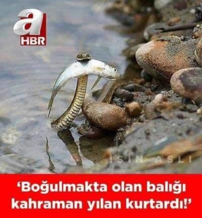 ATV'nin otogar haberi vatandaşa yakalandı! Hangi haber kanalını izliyorsunuz?