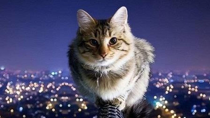 Oğlum bu gece yatağında yatmadı, neden olabilir?