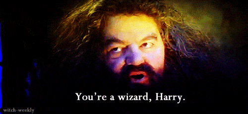 Harry Potterdan Hagrid, büyücü olduğunun haberini verseydi ne yapardın?