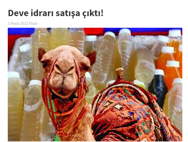 Deve idrarı satışa çıkmış, alır mısınız?
