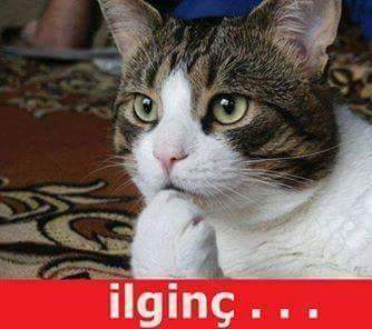 İş ortağım karımızı paylaşalım dedi? Kabul etmeli miyim?