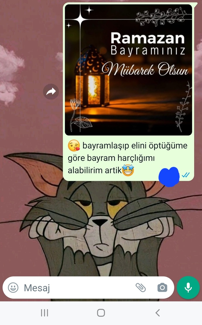 Niye görüldü attı ki?