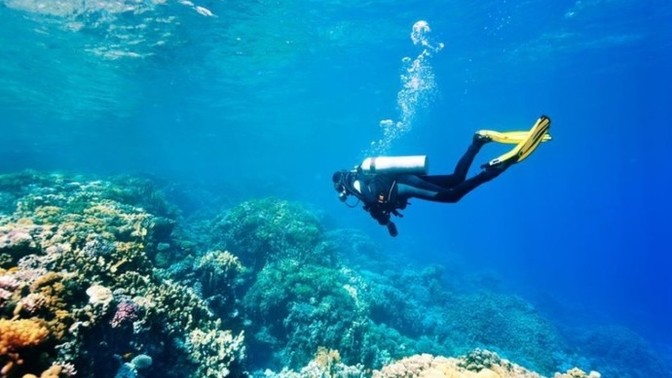 Tüpsüz dalış yapsanız nefesinizi kaç dakika tutabilirsiniz?