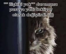 Sosyal medyada sevgilisi olduğu halde ilişkisi yok ibaresini kullandığını görseniz ne yapardınız?