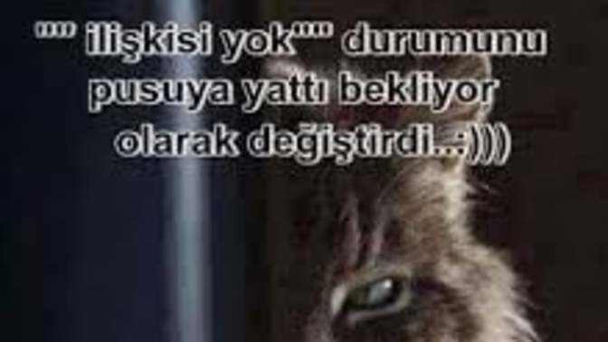 Sosyal medyada sevgilisi olduğu halde ilişkisi yok ibaresini kullandığını görseniz ne yapardınız?