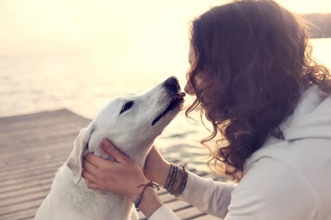 Kedi , köpek besleyenler asosyal mıdır?