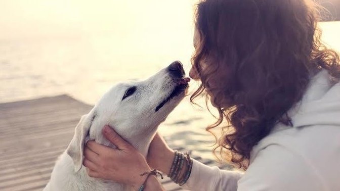 Kedi , köpek besleyenler asosyal mıdır?