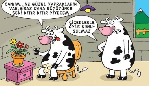 Soğuk ve mesafeli biriyle mi konuşmak daha sıkıcı, yoksa fazla konuşan ve susmayan biriyle mi?