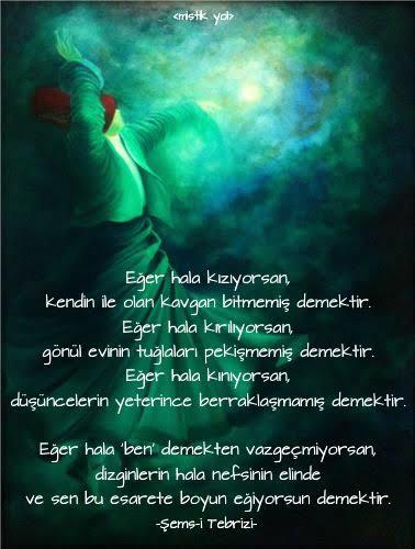 Nefis nasıl terbiye edilir 🤔?