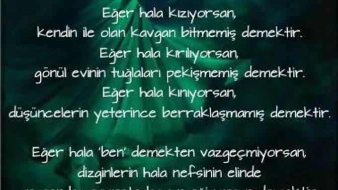 Nefis nasıl terbiye edilir 🤔?