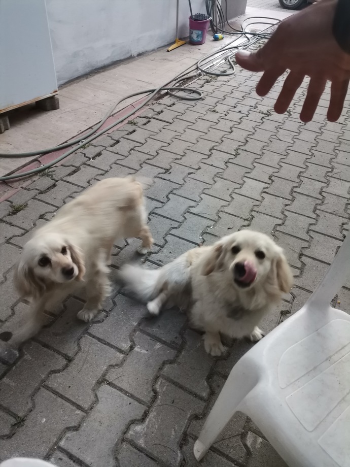 Bayramınız mübarek olsun. Bayram da hemşerimle buluştuk, sen neler yapıyorsun?