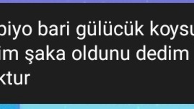 Mesajlarınızın sonuna emoji koyar mısınız?