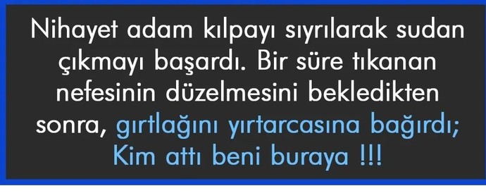 Beş milyon için timsah dolu göle atlar mısınız?