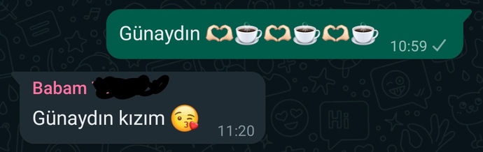 Telefonunuza gelen son mesajı babanız okusa neyi okumuş olurdu ve ne yapardı?