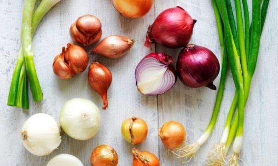 Ezeli Rakipler Bir Arada💃💃Yemeklerinde En Çok Hangisini Kullanırsın? Soğan mı Sarımsak mı?