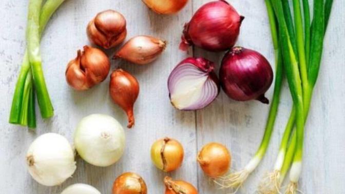 Ezeli Rakipler Bir Arada💃💃Yemeklerinde En Çok Hangisini Kullanırsın? Soğan mı Sarımsak mı?