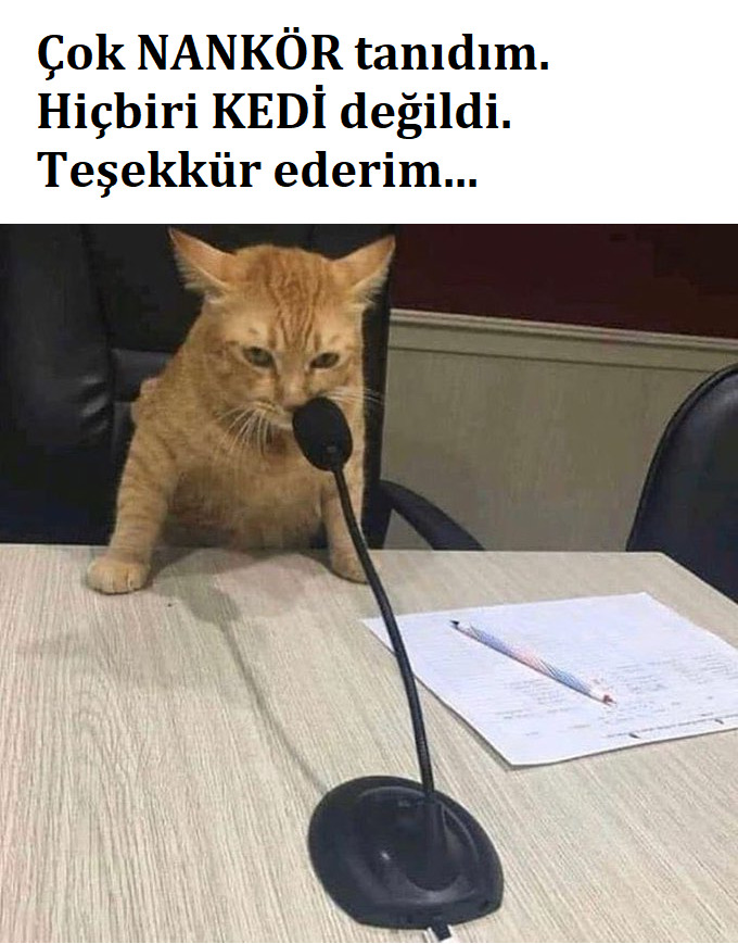 Dünyada hayvanlardan daha vefalı canlılar var mı?