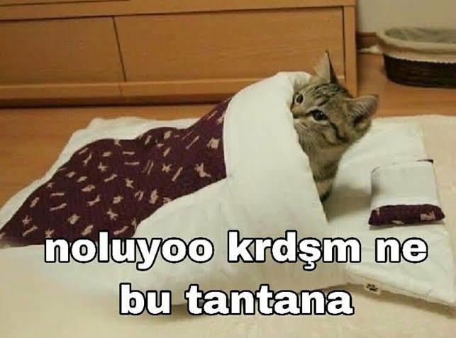 Kısacık bayram tatilinden sonra bugününüz nasıl geçiyor?